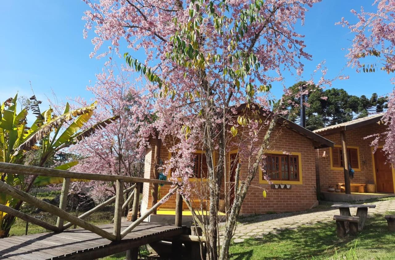 Chale Caminho Da Montanha 山林小屋 Goncalves