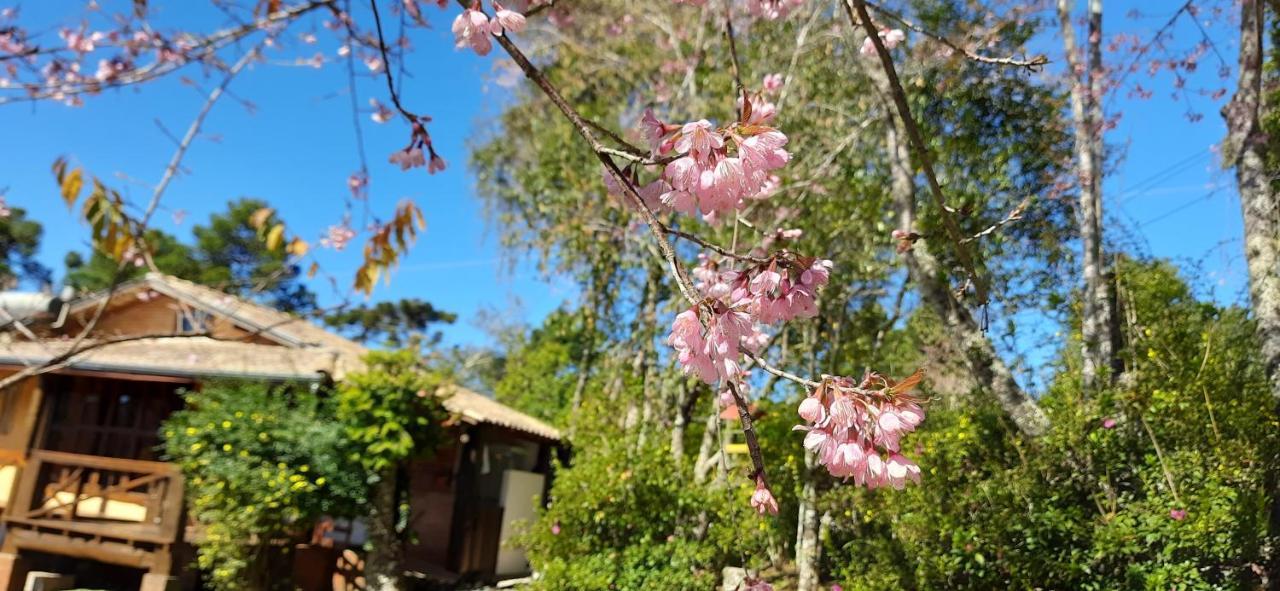 山林小屋 Chale Caminho Da Montanha