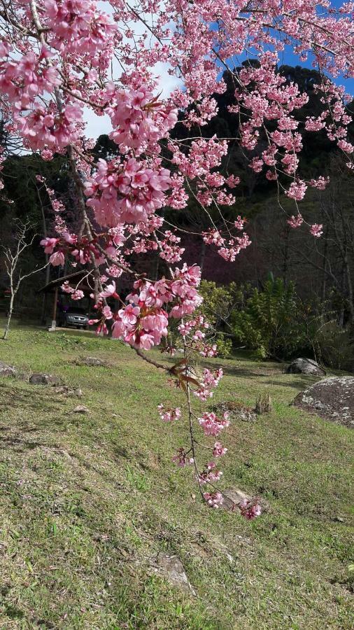 山林小屋 Chale Caminho Da Montanha *