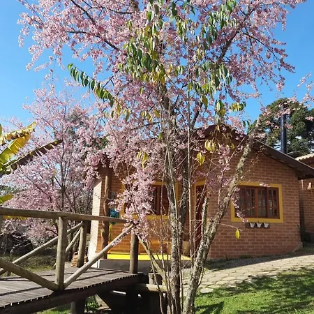 Chale Caminho Da Montanha Villa Goncalves Exterior photo