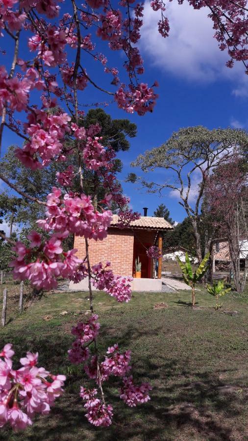 Lodge Chale Caminho Da Montanha